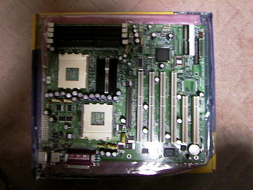 TigerMP������